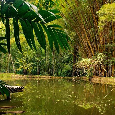 Reserva Biologica Caoba Bonda Exterior foto