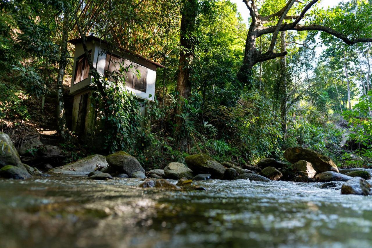 Reserva Biologica Caoba Bonda Exterior foto