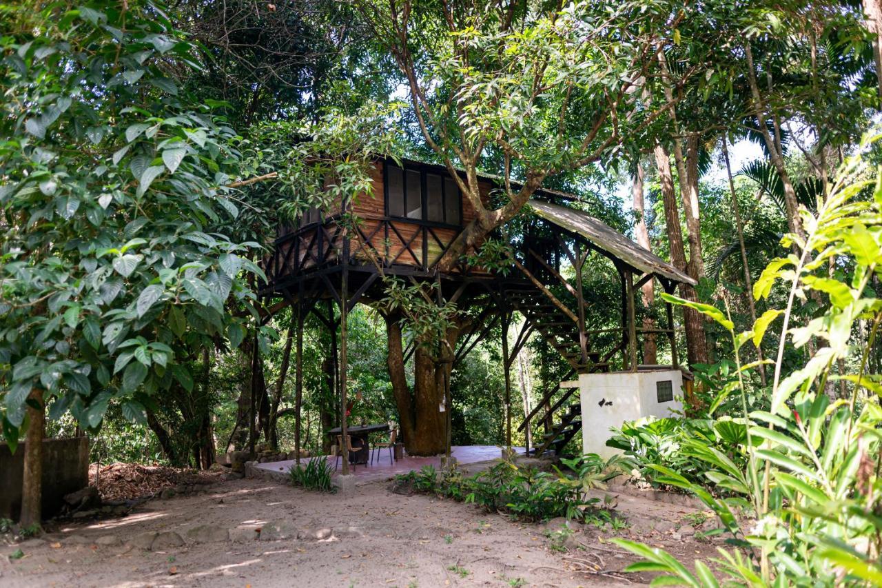 Reserva Biologica Caoba Bonda Exterior foto