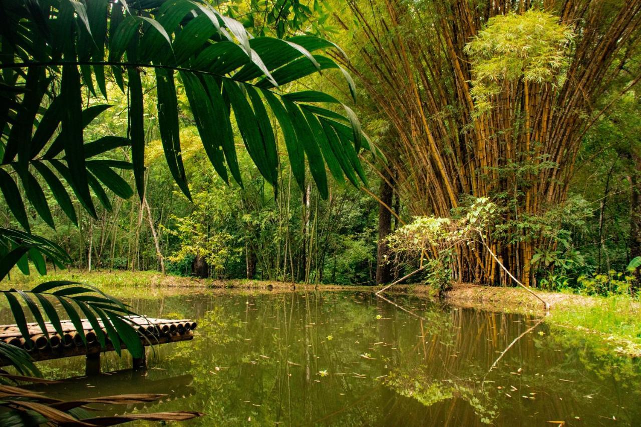 Reserva Biologica Caoba Bonda Exterior foto
